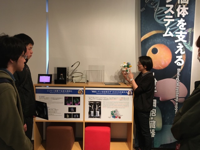 次にクライオ電顕を使ったタンパクの構造解析について