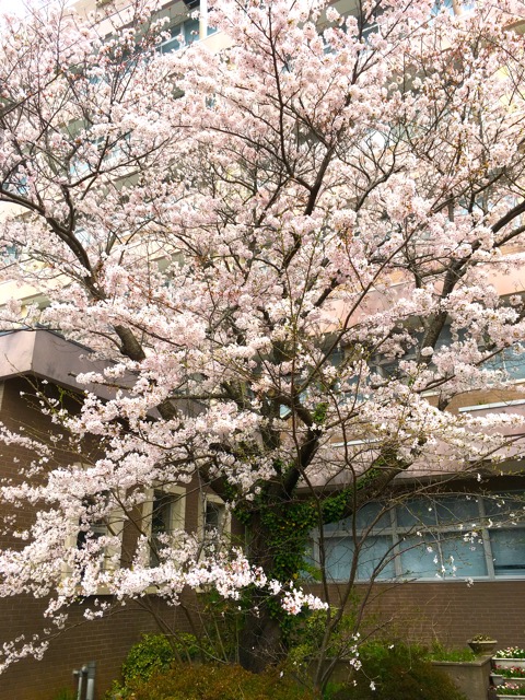 今年は徐々に良い方向に向きます。もう少しの辛抱です。
