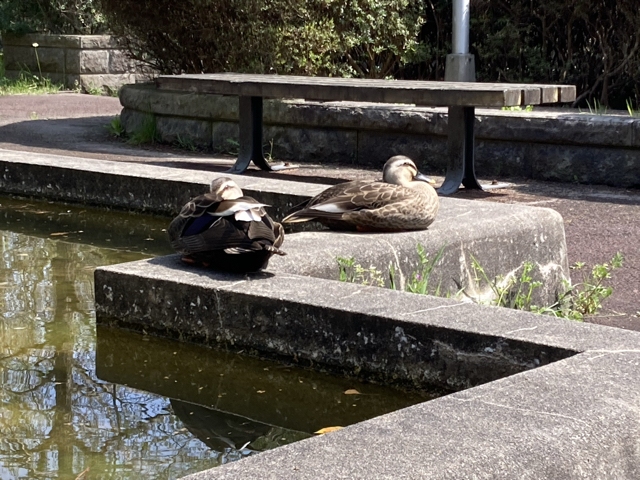 この日は良い天気で，日光浴には丁度良かったでしょう。