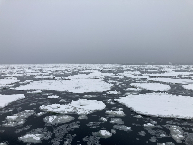 全面結氷ではなかったですが，流氷を間近で見学できました。